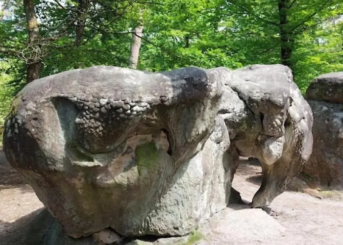 Appartement L écluse Nemours